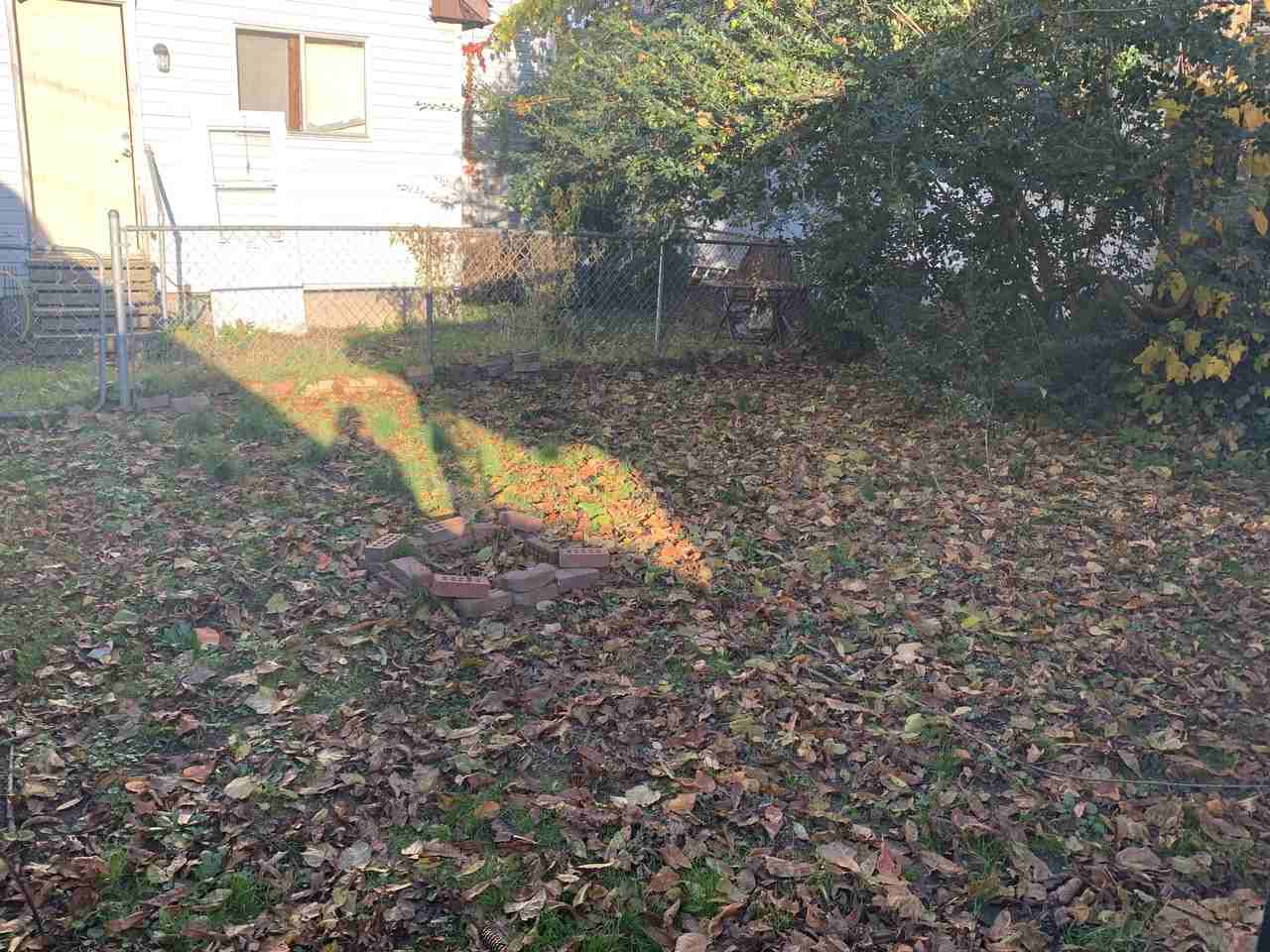 4727 Venable Ave Rear - Photo 3 of 12