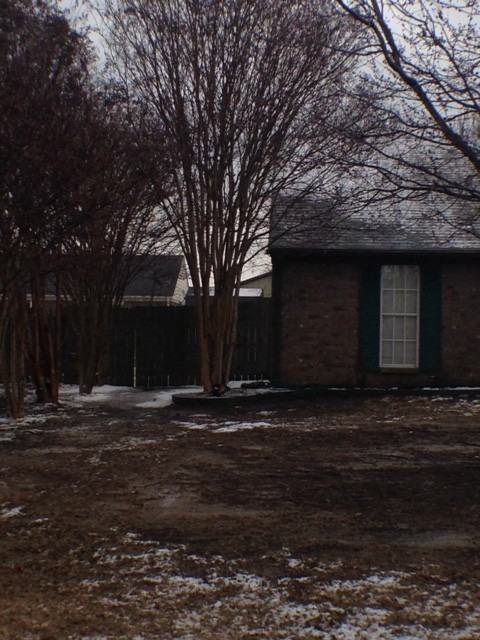 7154 Brandee Dr - Photo 2 of 14