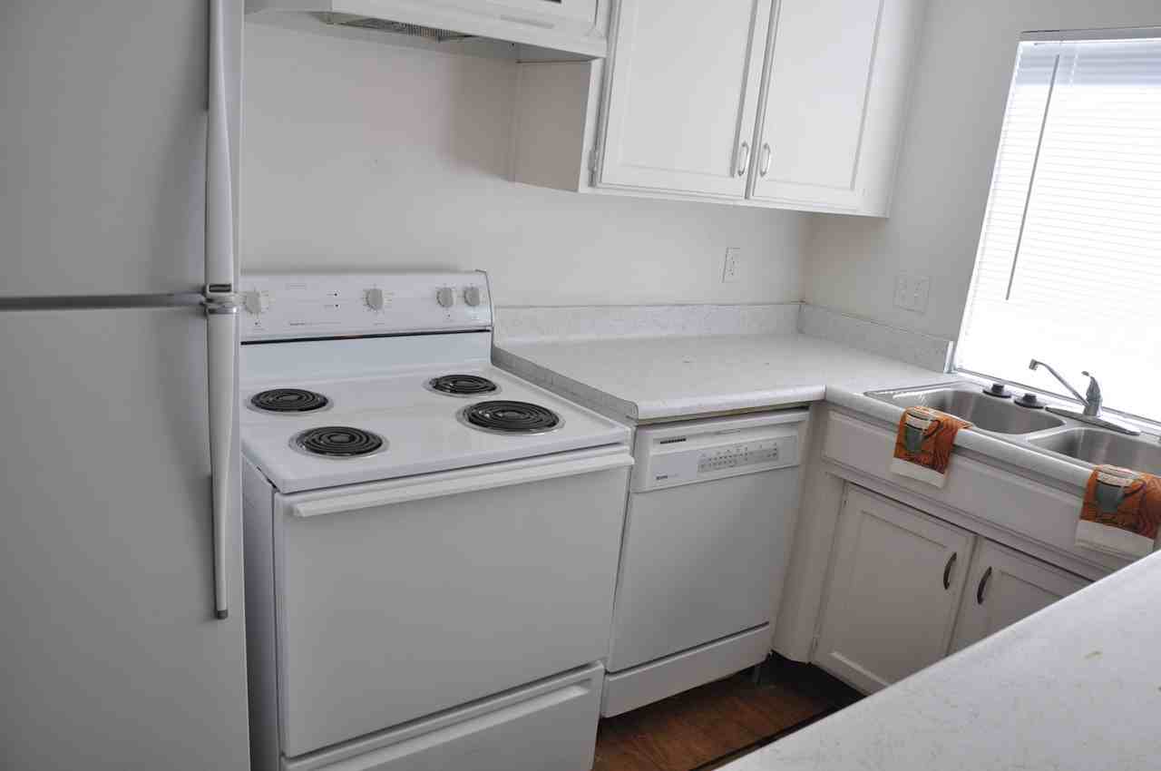 1286 Bacchus Dr - Photo 3 of 11
