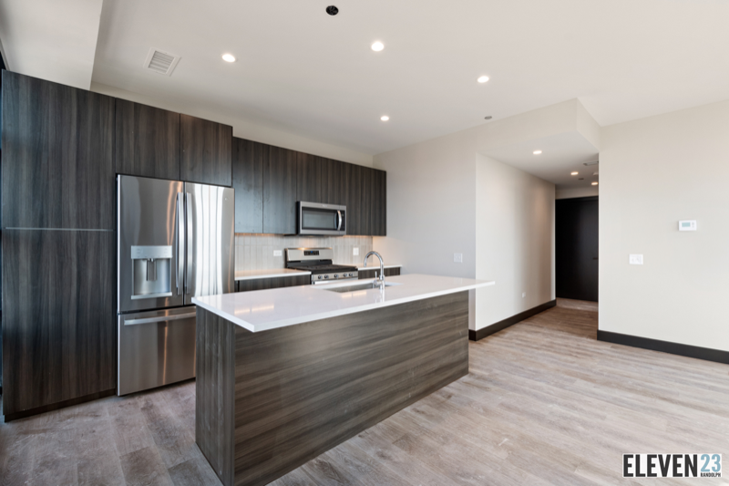 1123 N Randolph St. #602 - Photo 3 of 15