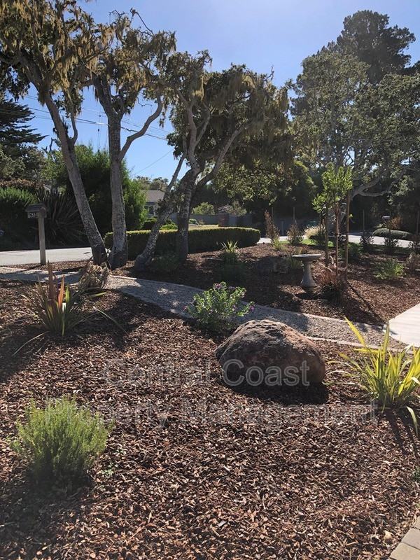 2884 Sloat Rd - Photo 3 of 36