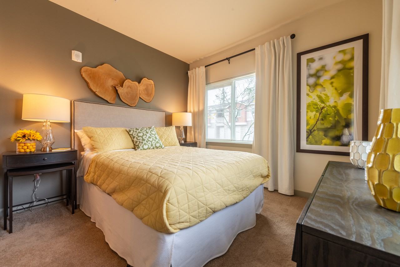 Novo - Photo 4 of 160