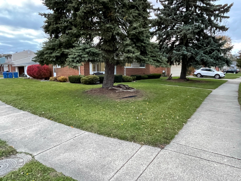 30047 Merrick Ave - Photo 2 of 30