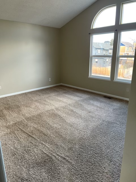 943 Kremmling Ln - Photo 3 of 11