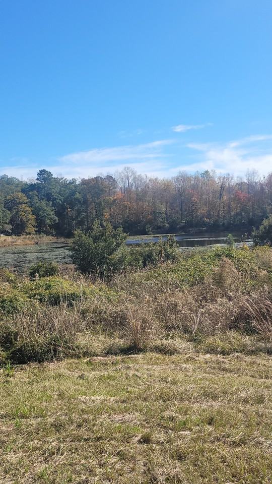 2 Kemp Drive #1 - Photo 2 of 5