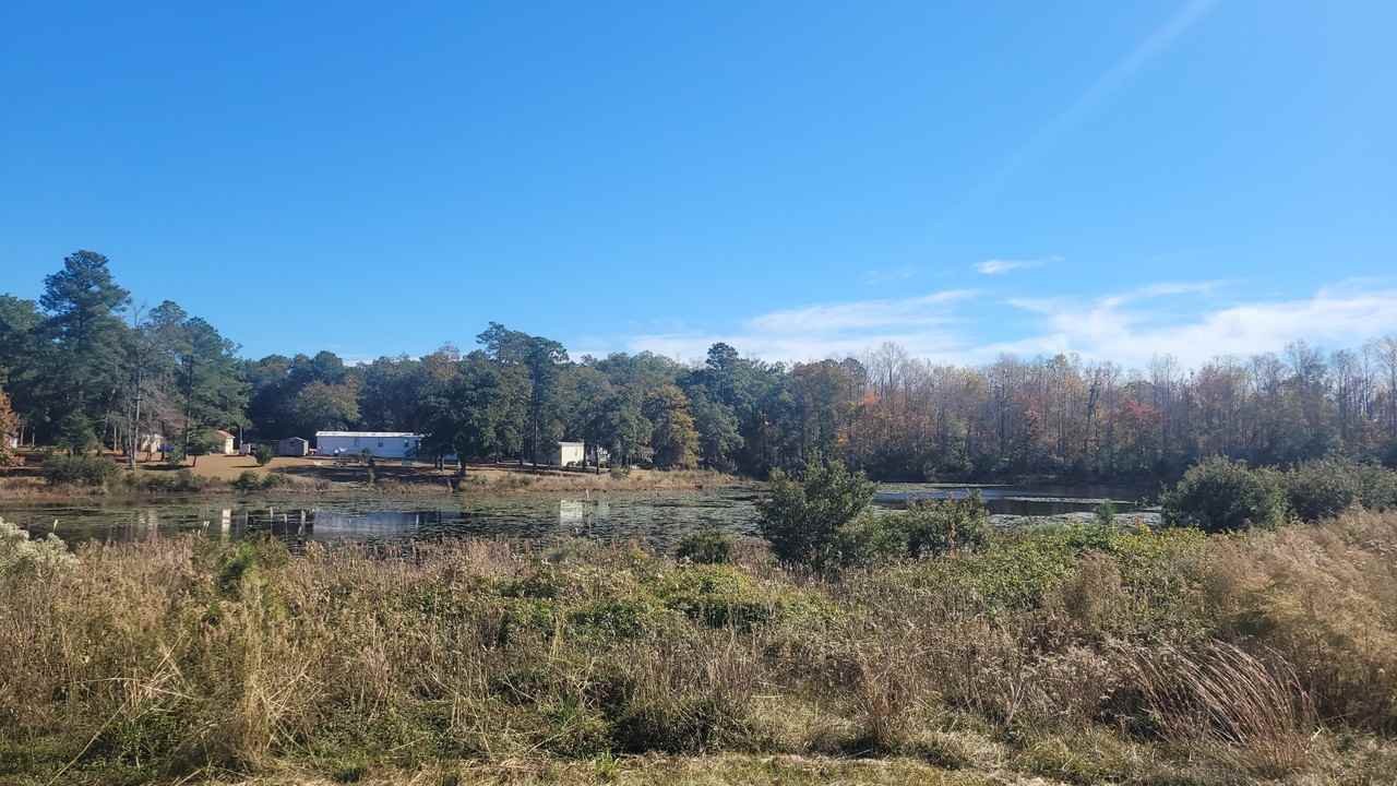 2 Kemp Drive #1 - Photo 3 of 5