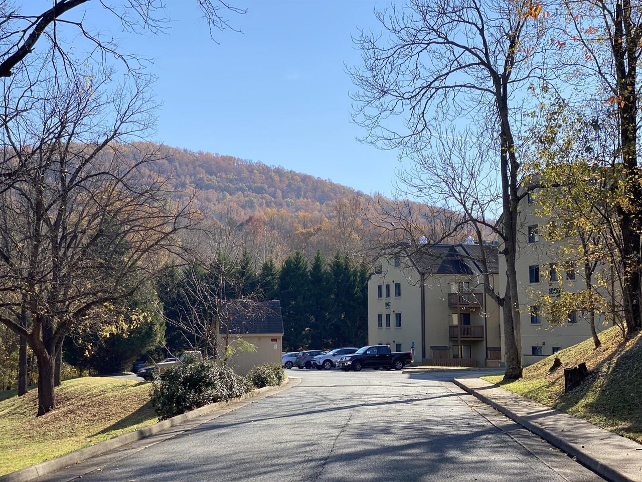 1002 Linden Ave #206