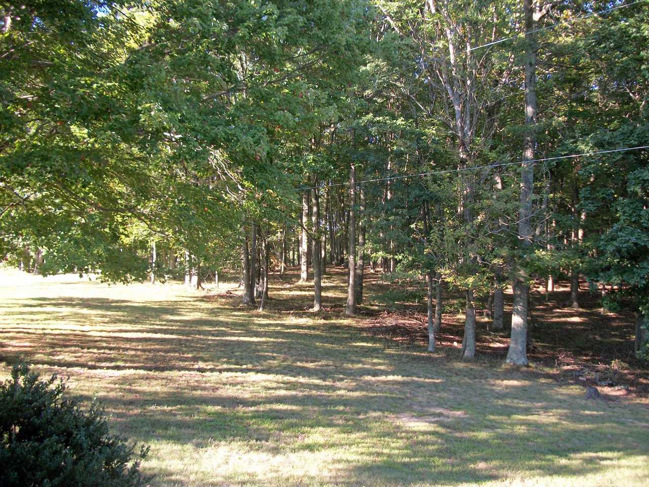 318 Lovell Rd Ne - Photo 3 of 12