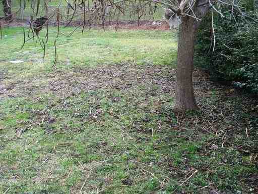 814 Page St - Photo 2 of 8