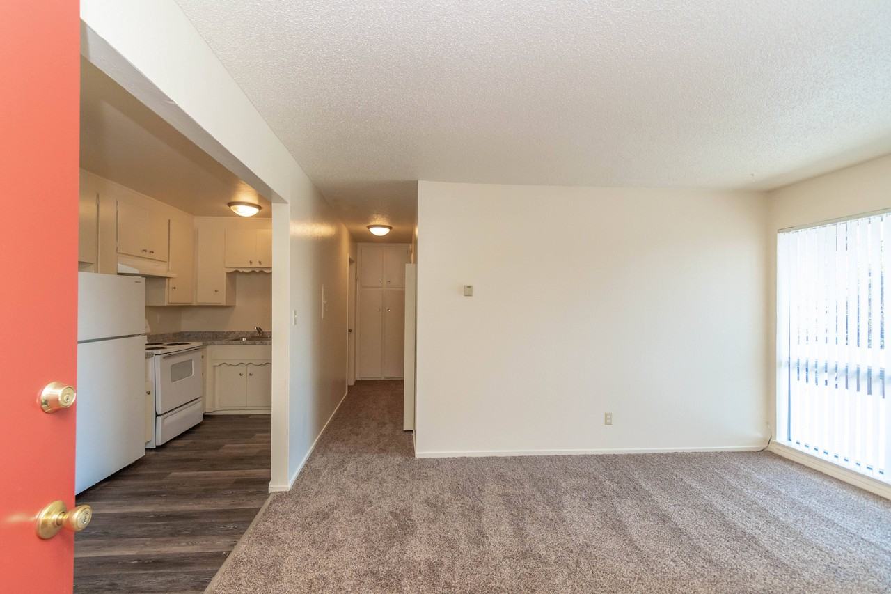 Carson Aire - Photo 2 of 85