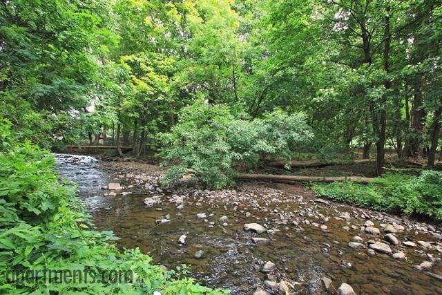 North Glen - Photo 2 of 20