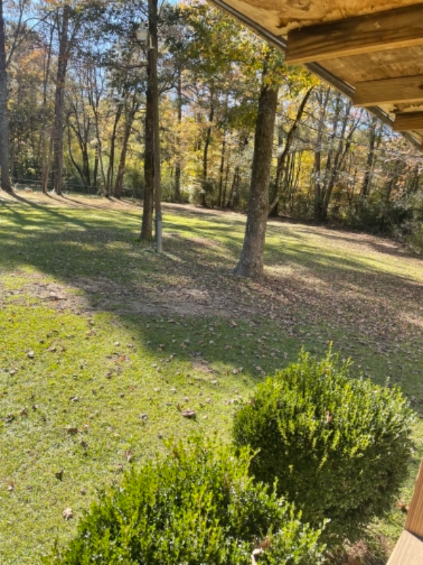 2300 13th Ave Se - Photo 5 of 5