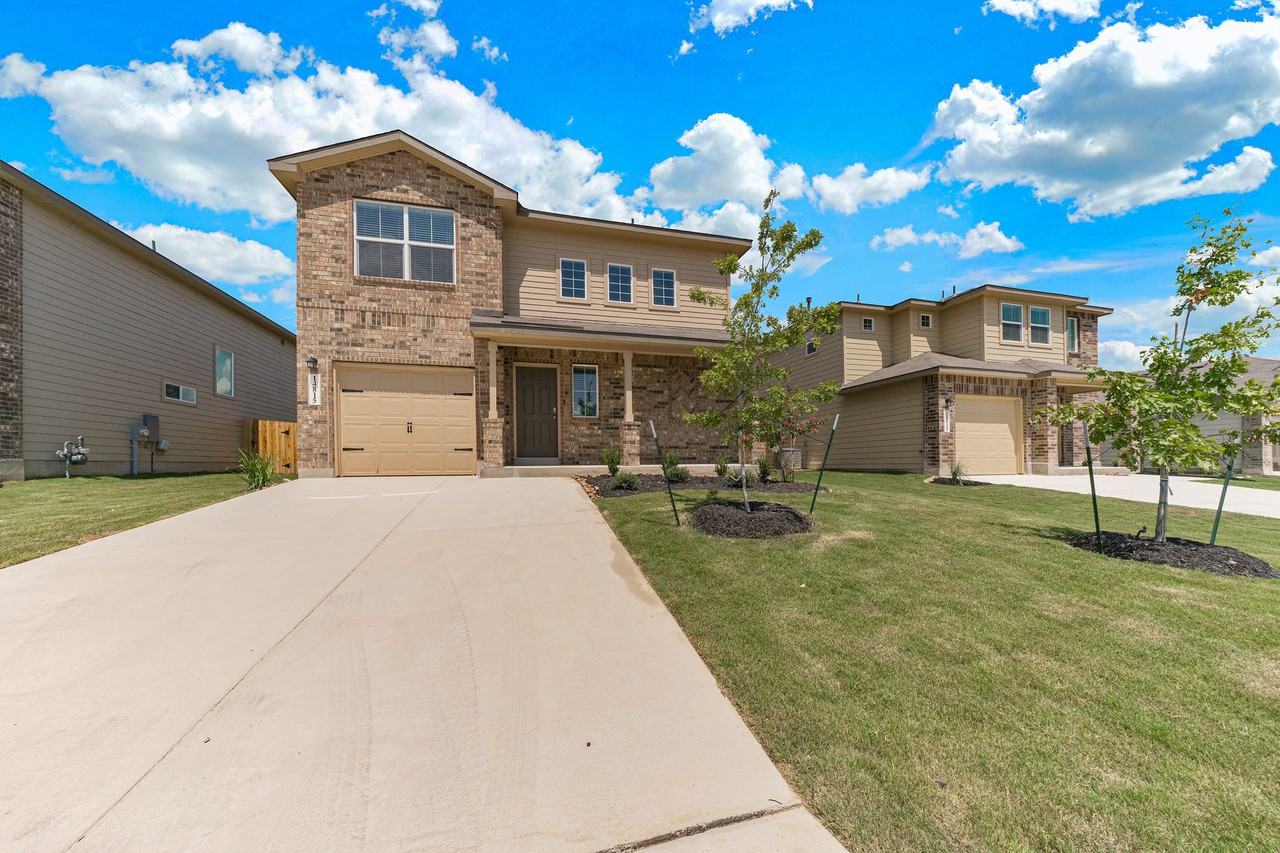 14815 Fronted Goose - Photo 2 of 33