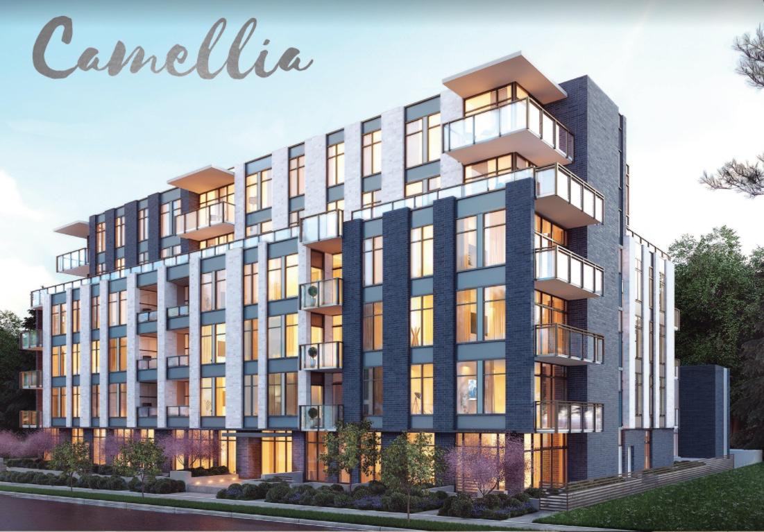 6733 Cambie Street #504