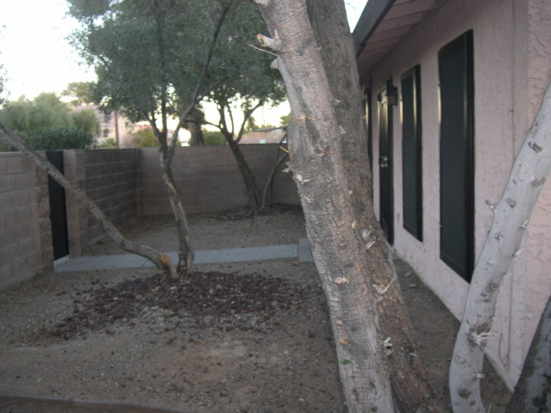 4310 Caliente Street - Photo 6 of 37