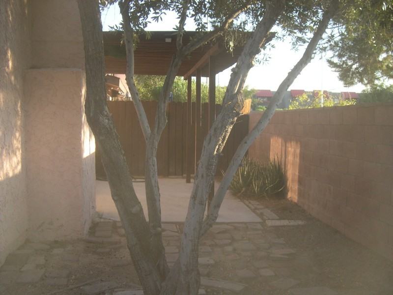 4310 Caliente Street - Photo 7 of 37