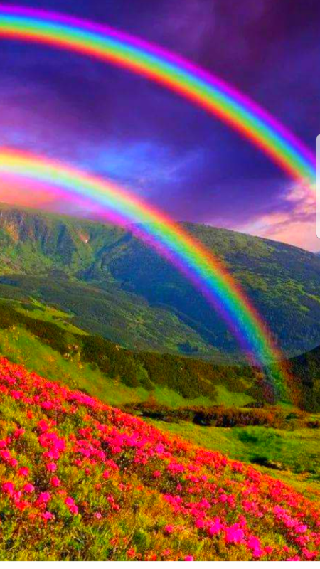 84 786 Ala Mahiku Street - Photo 7 of 28