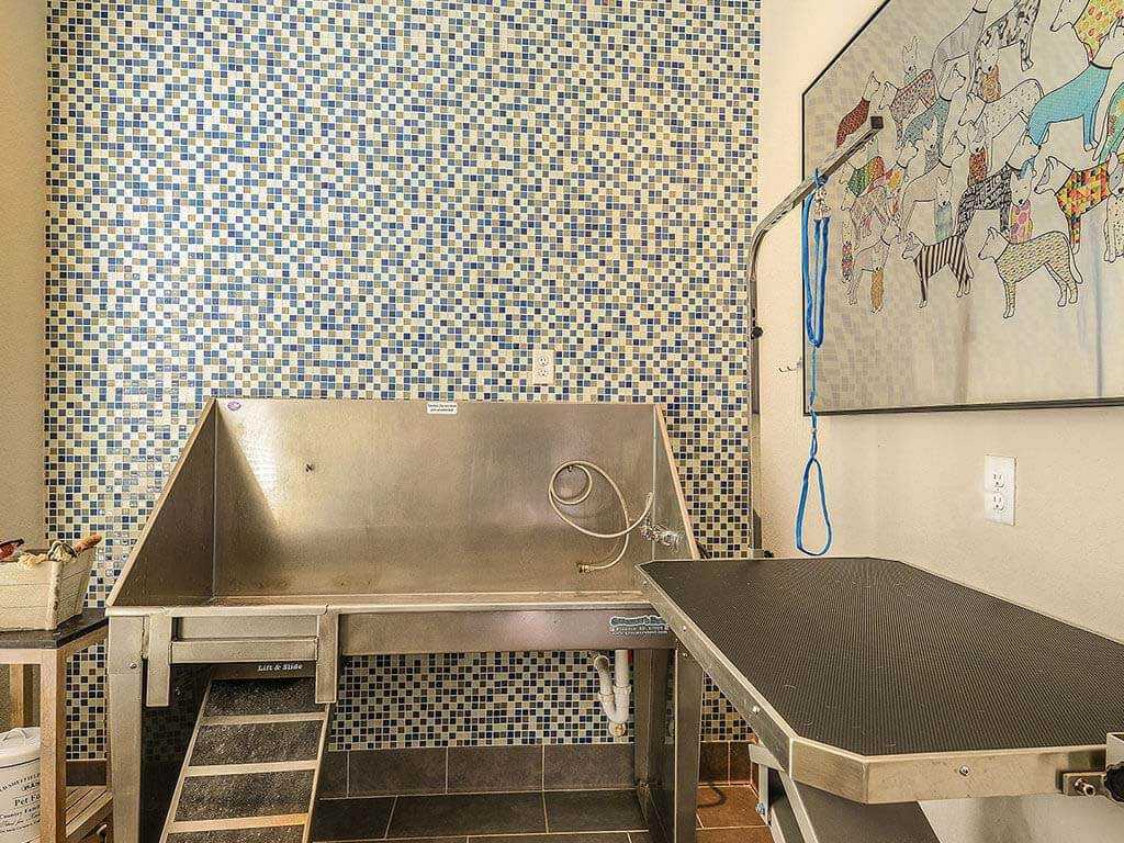 Aurora - Photo 6 of 30