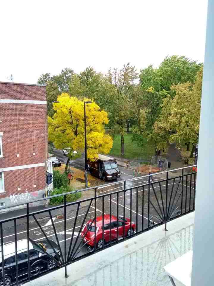 Avenue Laurier Est - Photo 2 of 11