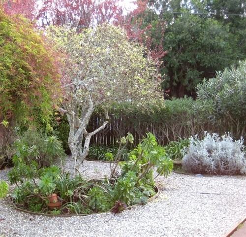 134 Auburn St - Photo 3 of 17