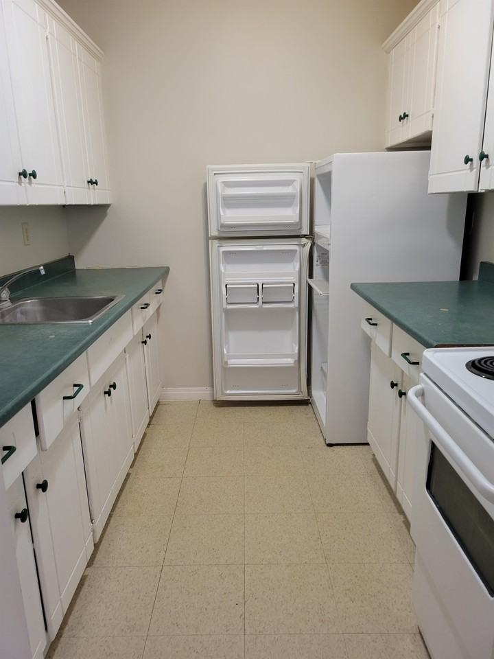 114-410 590 Laurier Street West - Photo 3 of 11