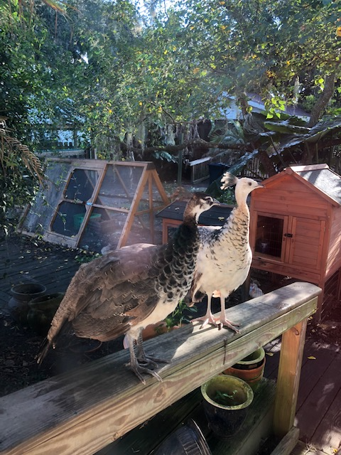 124 Dream Pond Rd - Photo 2 of 9