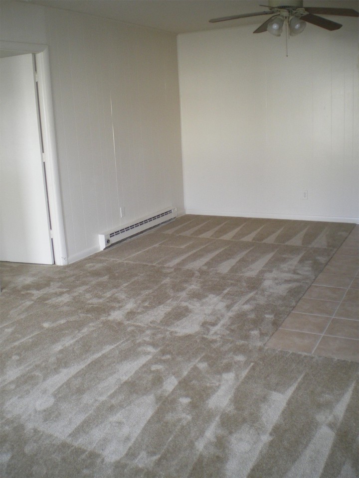301 Strawberry Ln #8 - Photo 6 of 10