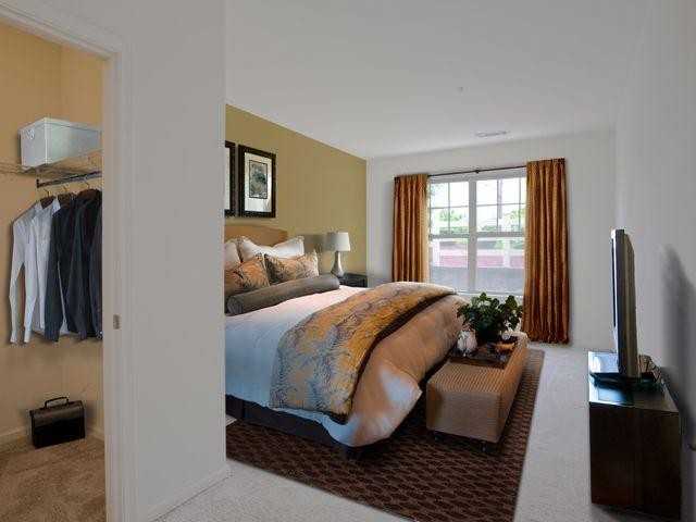 163 Boylston St #2446