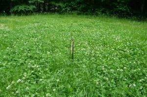 11235 Sherwood Dr - Photo 3 of 8