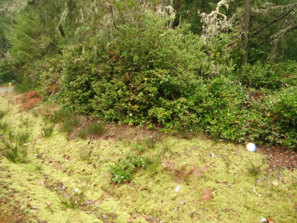 11607 Mill Pl - Photo 2 of 11