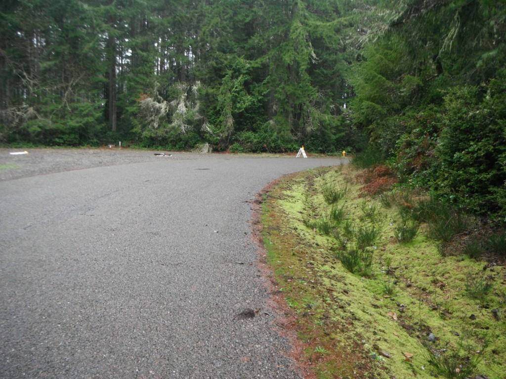 11607 Mill Pl - Photo 3 of 11