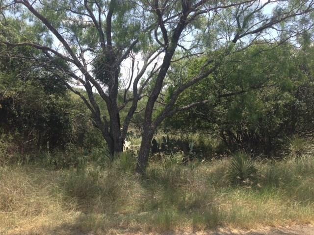 230 Sherwood Downs Dr - Photo 2 of 4