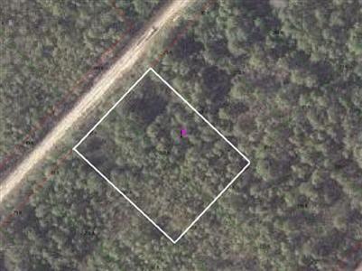 1420 Robin Rd - Photo 2 of 2