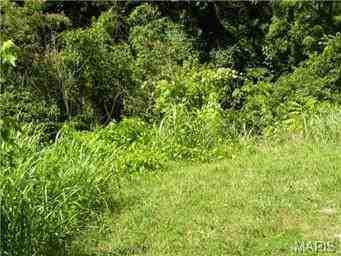 313 Vine St - Photo 2 of 8