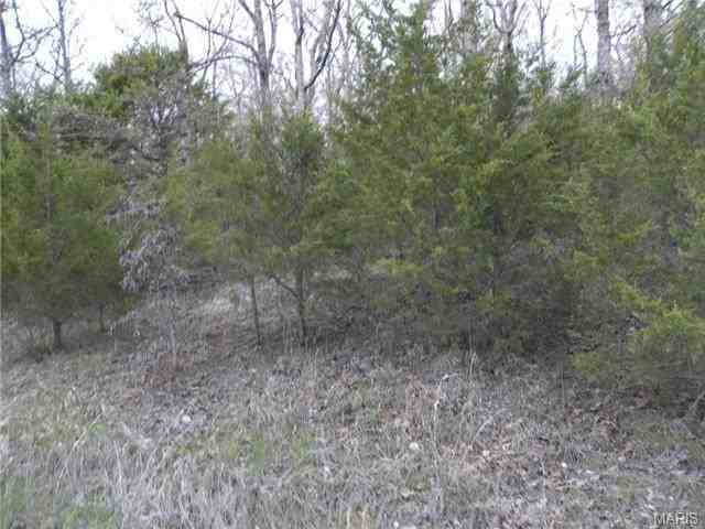 441 Thunderbird Dr - Photo 3 of 7