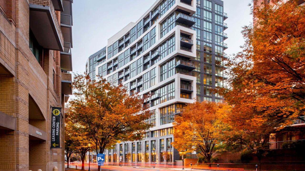 The Edge - Photo 5 of 50