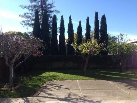 213 23rd Ave - Photo 2 of 9