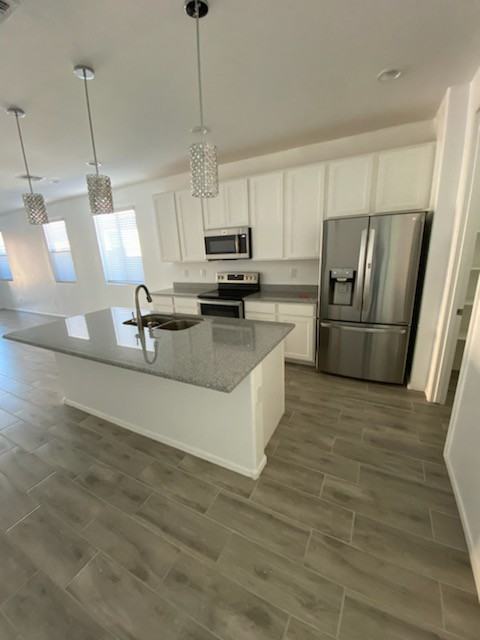 44000 W Palo Olmo Rd - Photo 3 of 16