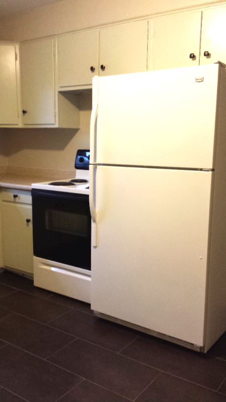 4919 Fuller Drive #4919 - Photo 5 of 13