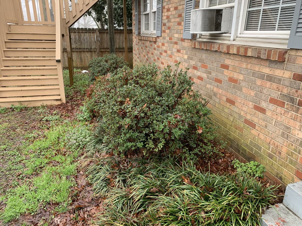 1110 S Main St - Photo 2 of 3