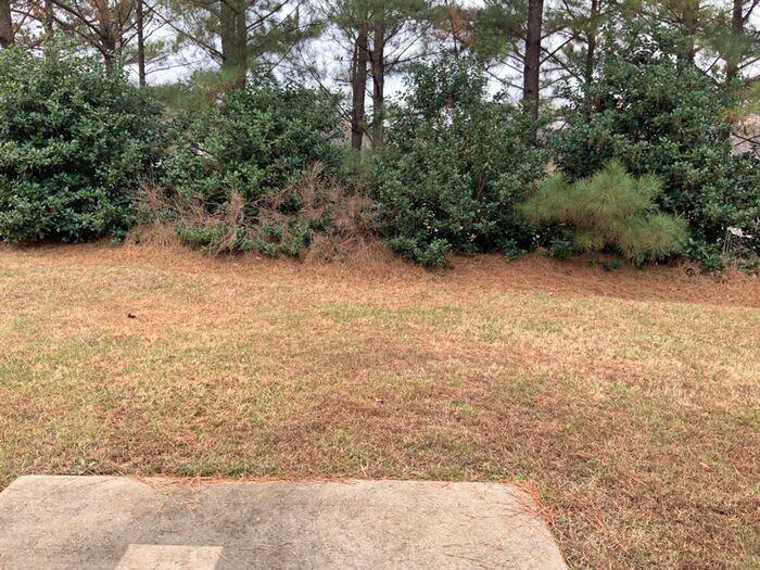 7043 Haines Mill Rd - Photo 3 of 14