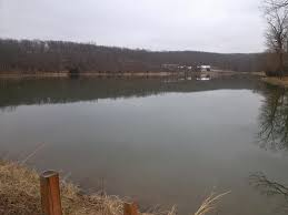 28819 Forest Park Ct - Photo 3 of 5