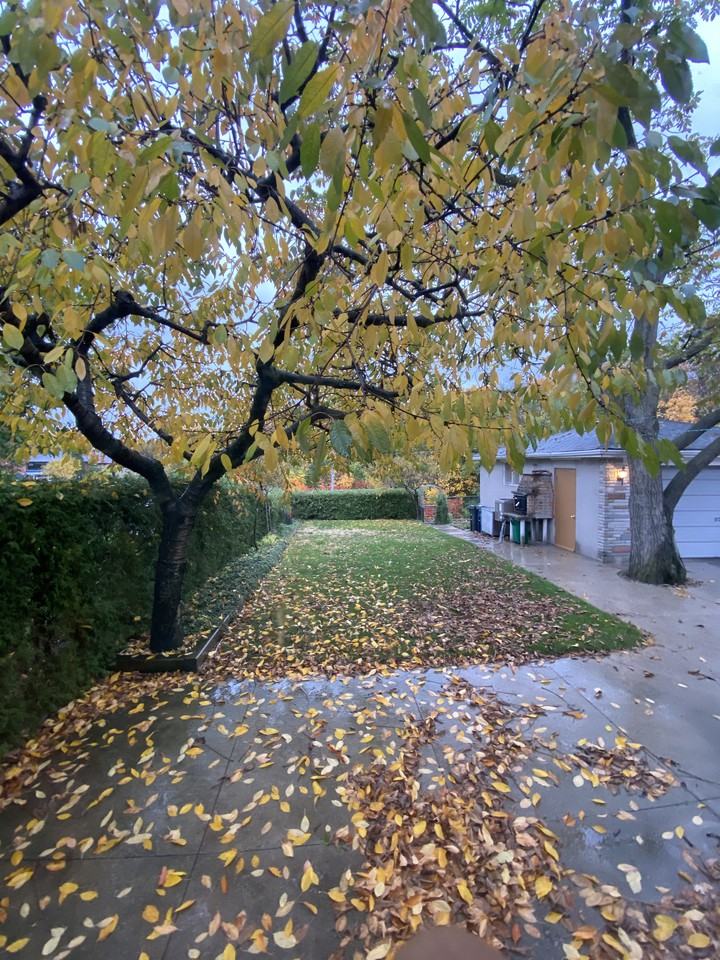 88 Exbury Road - Photo 2 of 10