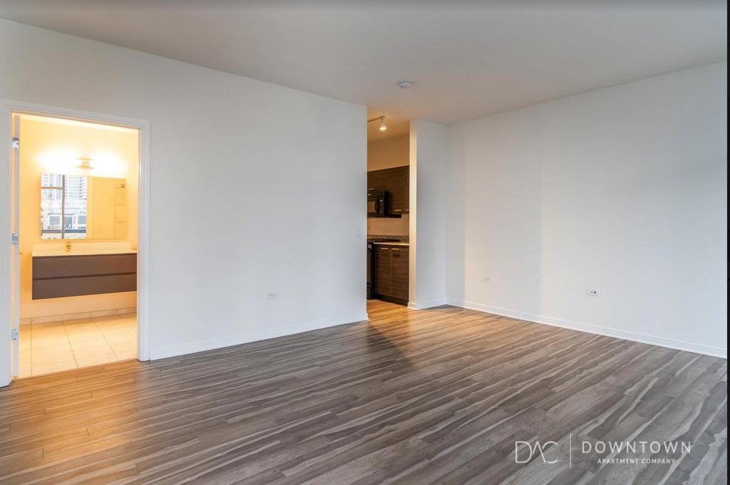 719 N La Salle Dr - Photo 3 of 9