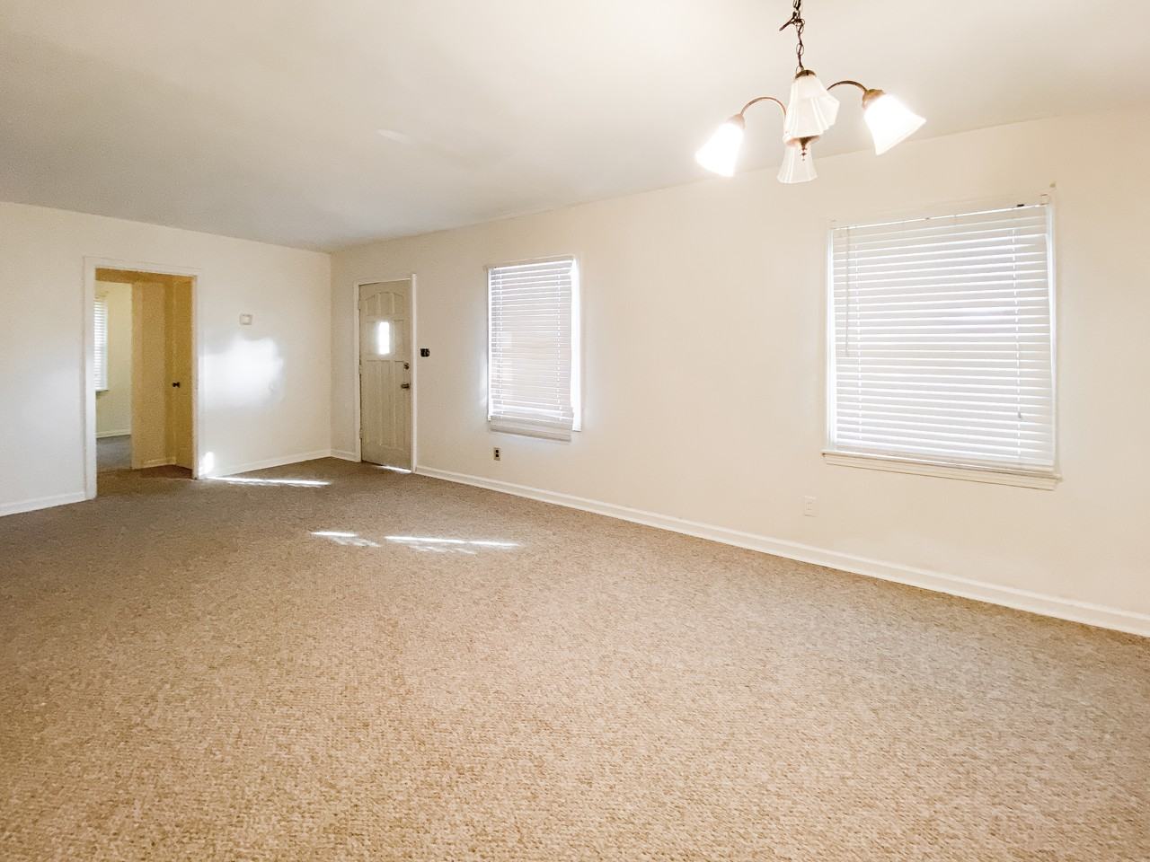 1017 Summerville St - Photo 2 of 7