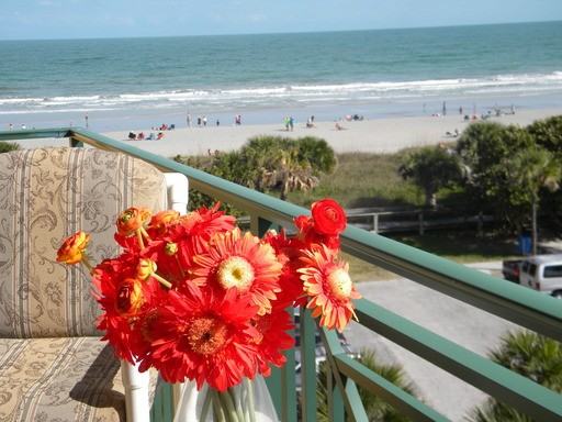 8470 Ridgewood Ave #504 - Photo 3 of 26