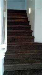 5266 W Morten Ave - Photo 3 of 20