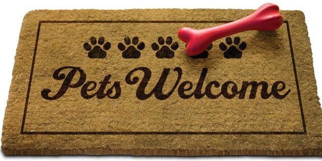 4301 E Rancier Ave - Photo 3 of 24