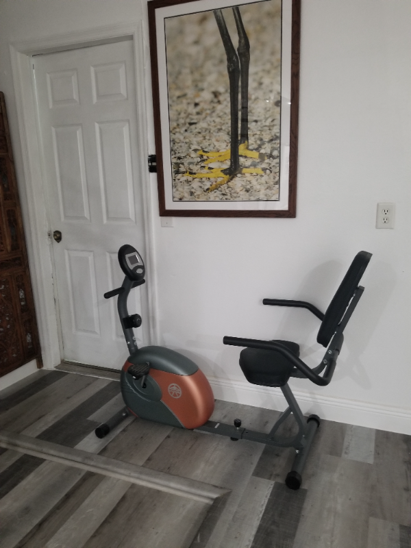 1585 Maxwell Ln - Photo 4 of 20