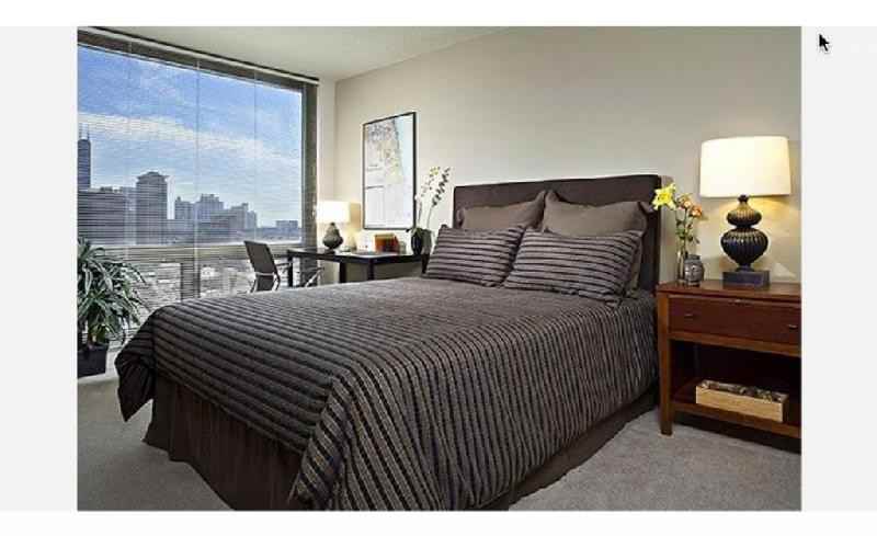 N Dearborn St #636 - Photo 2 of 10